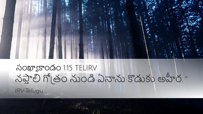 సంఖ్యాకాండం 1:15 TELIRV Bible Verse Image