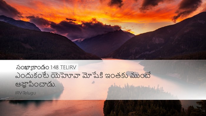 సంఖ్యాకాండం 1:48 TELIRV Desktop Wallpaper - ఎందుకంటే యెహోవా - Desktop Bible Verse Wallpaper
