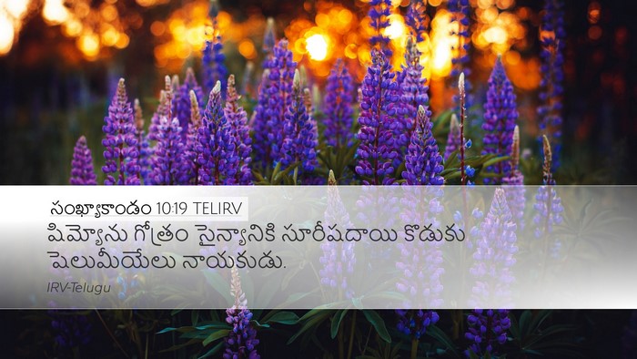 సంఖ్యాకాండం 10:19 TELIRV Desktop Wallpaper - షిమ్యోను గోత్రం - Desktop Bible Verse Wallpaper