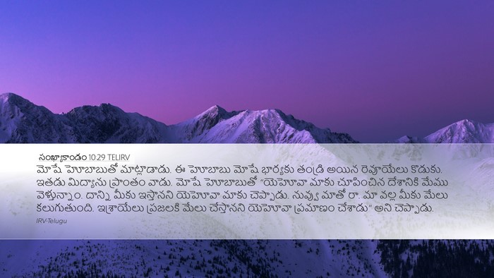 సంఖ్యాకాండం 10:29 TELIRV Bible Verse Image