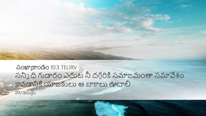 సంఖ్యాకాండం 10:3 TELIRV Bible Verse Image