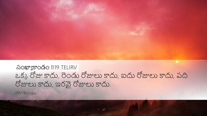 సంఖ్యాకాండం 11:19 TELIRV Desktop Wallpaper - ఒక్క రోజు కాదు, - Desktop Bible Verse Wallpaper