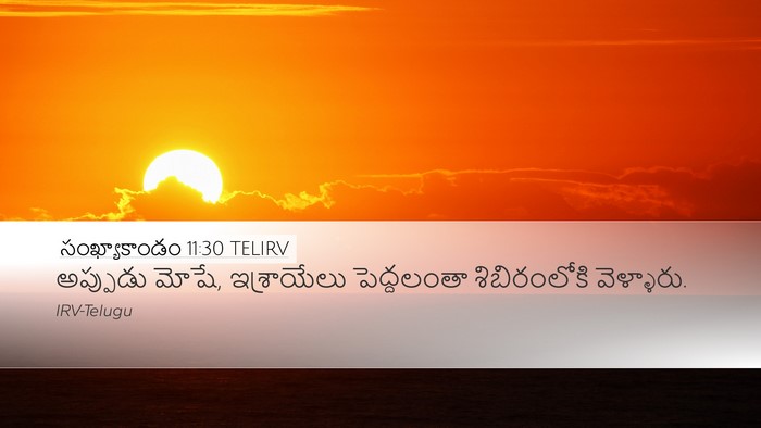 సంఖ్యాకాండం 11:30 TELIRV Desktop Wallpaper - అప్పుడు మోషే, - Desktop Bible Verse Wallpaper