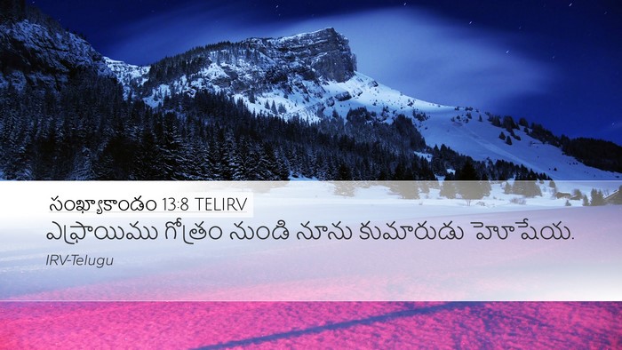 సంఖ్యాకాండం 13:8 TELIRV Bible Verse Image