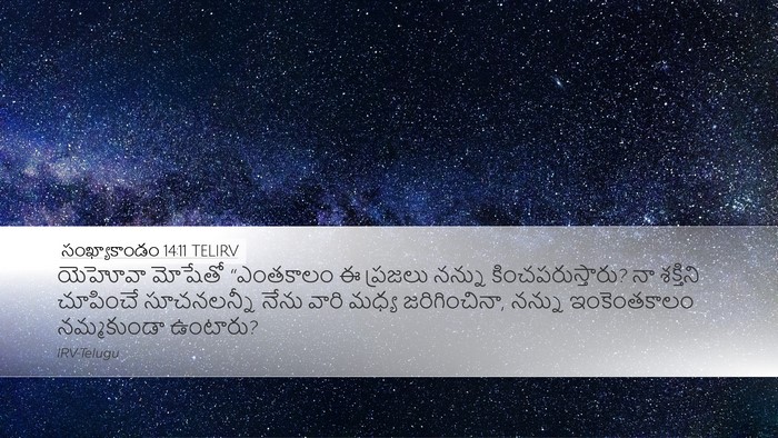 సంఖ్యాకాండం 14:11 TELIRV Bible Verse Image
