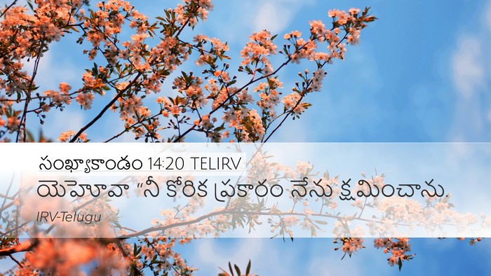 సంఖ్యాకాండం 14:20 TELIRV Bible Verse Image