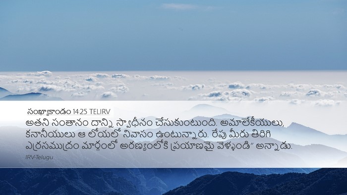 సంఖ్యాకాండం 14:25 TELIRV Bible Verse Image