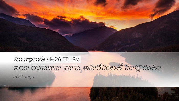 సంఖ్యాకాండం 14:26 TELIRV Desktop Wallpaper - ఇంకా యెహోవా మోషే - Desktop Bible Verse Wallpaper