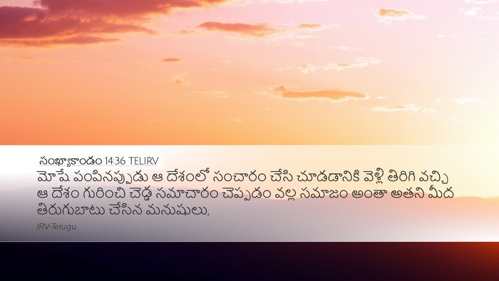 సంఖ్యాకాండం 14:36 TELIRV Bible Verse Image