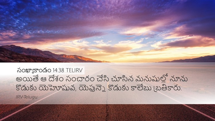 సంఖ్యాకాండం 14:38 TELIRV Bible Verse Image