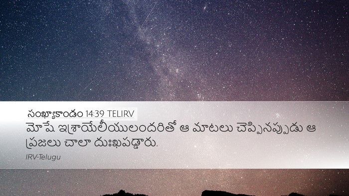 సంఖ్యాకాండం 14:39 TELIRV Desktop Wallpaper - మోషే - Desktop Bible Verse Wallpaper
