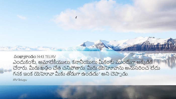 సంఖ్యాకాండం 14:43 TELIRV Bible Verse Image