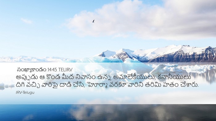 సంఖ్యాకాండం 14:45 TELIRV Bible Verse Image