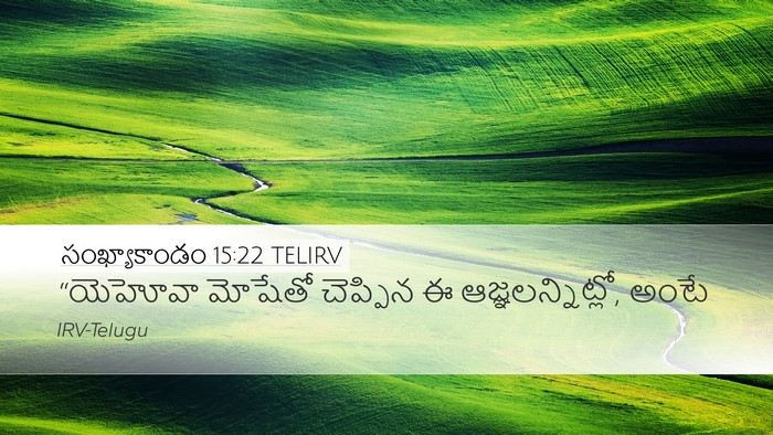 సంఖ్యాకాండం 15:22 TELIRV Desktop Wallpaper - “యెహోవా మోషేతో - Desktop Bible Verse Wallpaper