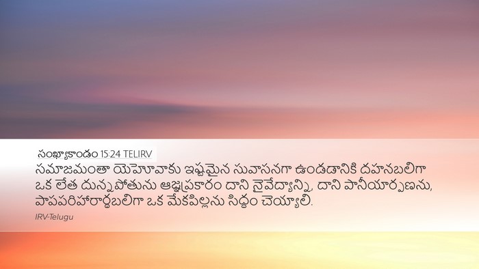 సంఖ్యాకాండం 15:24 TELIRV Bible Verse Image