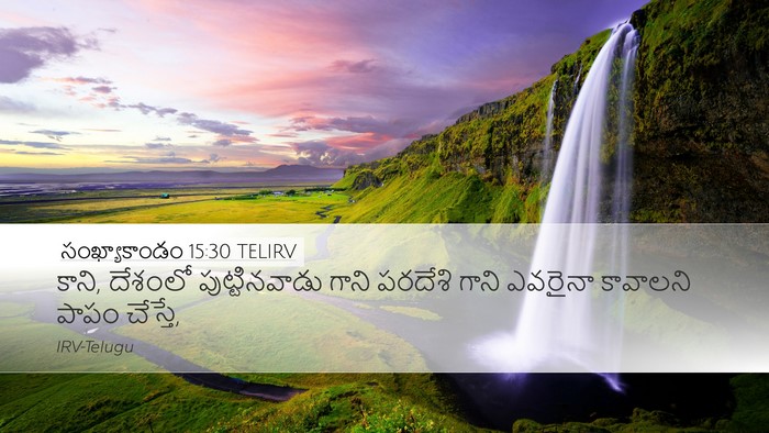 సంఖ్యాకాండం 15:30 TELIRV Bible Verse Image