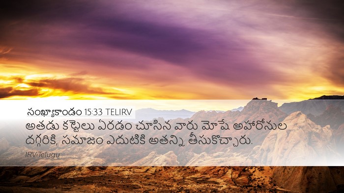 సంఖ్యాకాండం 15:33 TELIRV Bible Verse Image