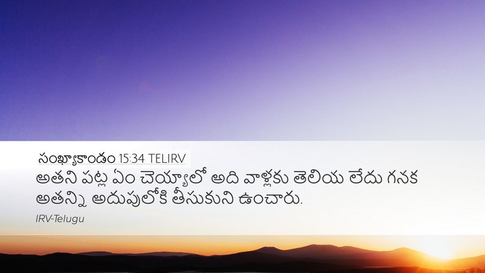 సంఖ్యాకాండం 15:34 TELIRV Bible Verse Image