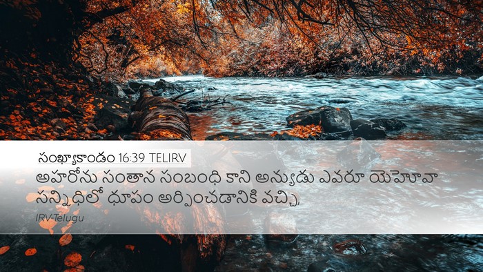 సంఖ్యాకాండం 16:39 TELIRV Desktop Wallpaper - అహరోను సంతాన - Desktop Bible Verse Wallpaper