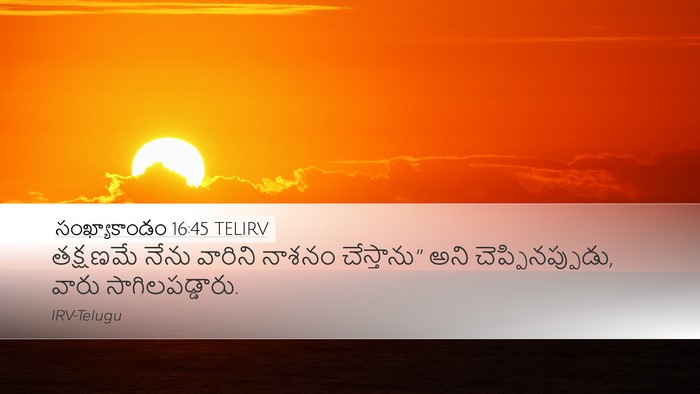 సంఖ్యాకాండం 16:45 TELIRV Bible Verse Image