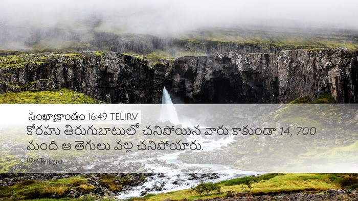సంఖ్యాకాండం 16:49 TELIRV Desktop Wallpaper - కోరహు - Desktop Bible Verse Wallpaper
