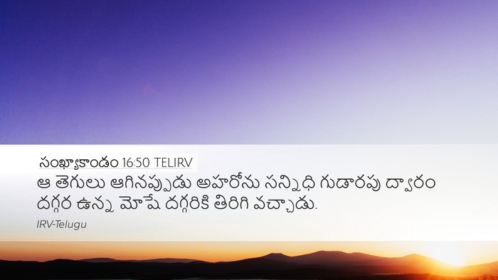 సంఖ్యాకాండం 16:50 TELIRV Desktop Wallpaper - ఆ తెగులు - Desktop Bible Verse Wallpaper