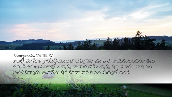 సంఖ్యాకాండం 17:6 TELIRV Desktop Wallpaper - కాబట్టి మోషే - Desktop Bible Verse Wallpaper
