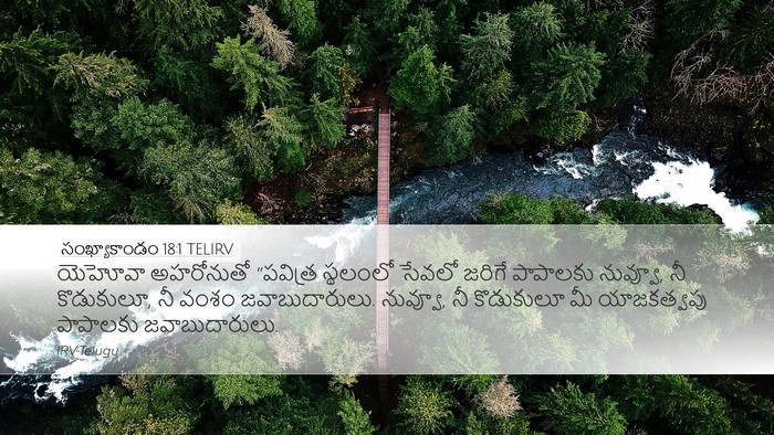 సంఖ్యాకాండం 18:1 TELIRV Bible Verse Image