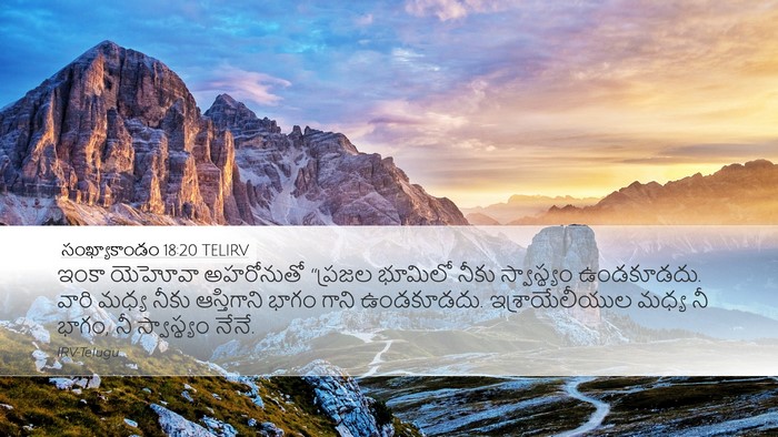 సంఖ్యాకాండం 18:20 TELIRV Bible Verse Image