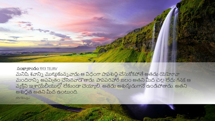 సంఖ్యాకాండం 19:13 TELIRV Bible Verse Image
