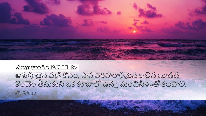సంఖ్యాకాండం 19:17 TELIRV Desktop Wallpaper - అశుద్ధుడైన - Desktop Bible Verse Wallpaper