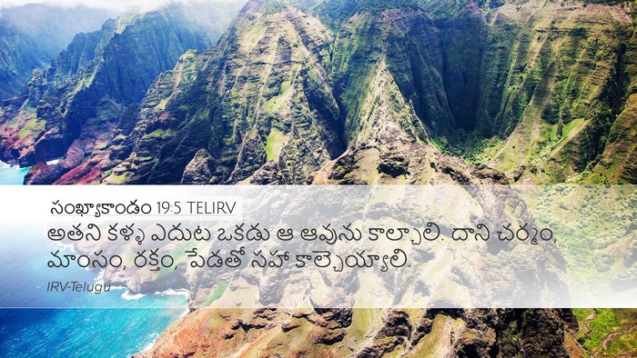 సంఖ్యాకాండం 19:5 TELIRV Desktop Wallpaper - అతని కళ్ళ ఎదుట - Desktop Bible Verse Wallpaper