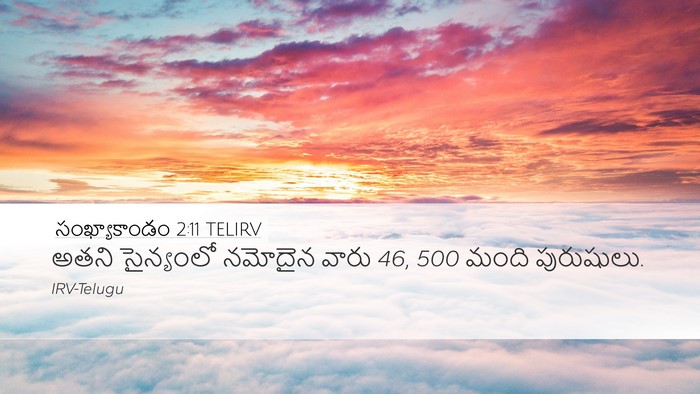 సంఖ్యాకాండం 2:11 TELIRV Bible Verse Image