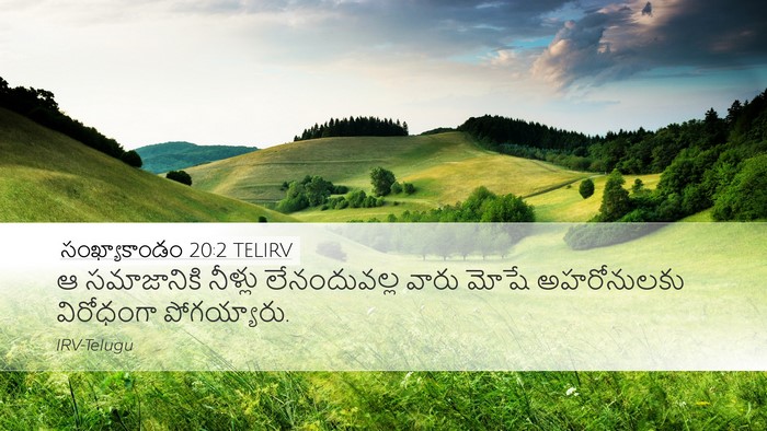 సంఖ్యాకాండం 20:2 TELIRV Bible Verse Image