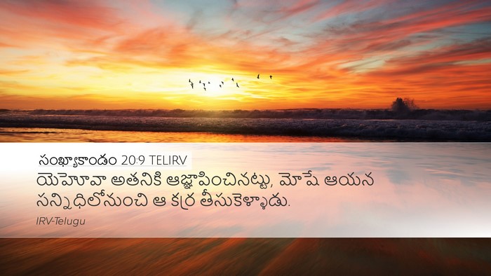 సంఖ్యాకాండం 20:9 TELIRV Bible Verse Image