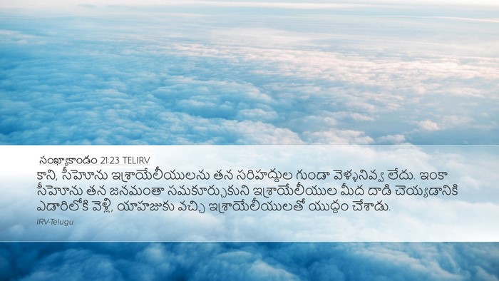 సంఖ్యాకాండం 21:23 TELIRV Bible Verse Image