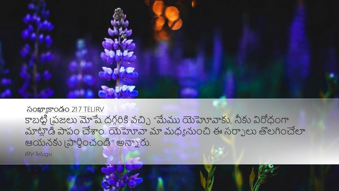 సంఖ్యాకాండం 21:7 TELIRV Desktop Wallpaper - కాబట్టి ప్రజలు - Desktop Bible Verse Wallpaper