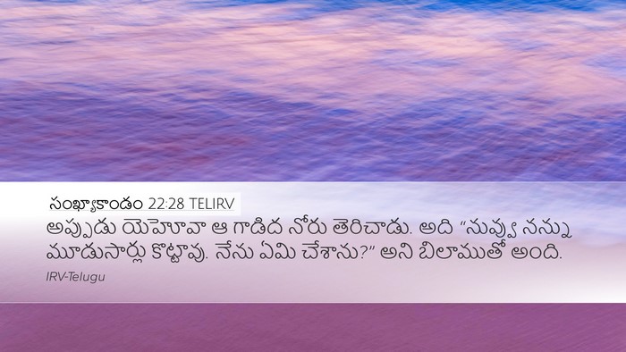 సంఖ్యాకాండం 22:28 TELIRV Bible Verse Image