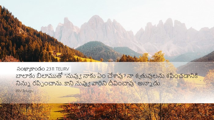 సంఖ్యాకాండం 23:11 TELIRV Bible Verse Image