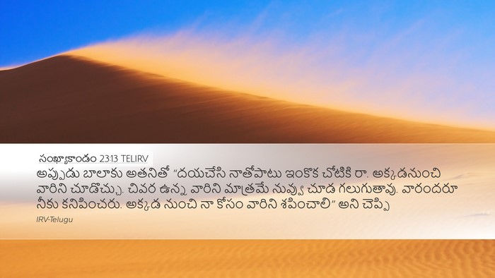 సంఖ్యాకాండం 23:13 TELIRV Bible Verse Image
