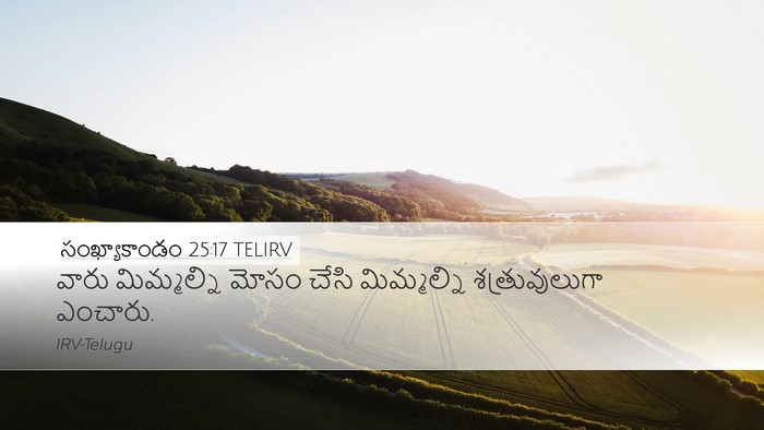 సంఖ్యాకాండం 25:17 TELIRV Desktop Wallpaper - వారు మిమ్మల్ని - Desktop Bible Verse Wallpaper