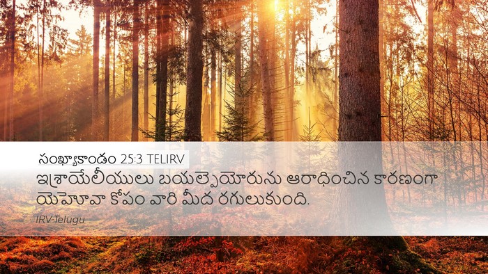సంఖ్యాకాండం 25:3 TELIRV Bible Verse Image