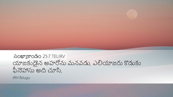 సంఖ్యాకాండం 25:7 TELIRV Bible Verse Image