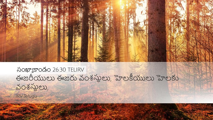 సంఖ్యాకాండం 26:30 TELIRV Desktop Wallpaper - ఈజరీయులు ఈజరు - Desktop Bible Verse Wallpaper