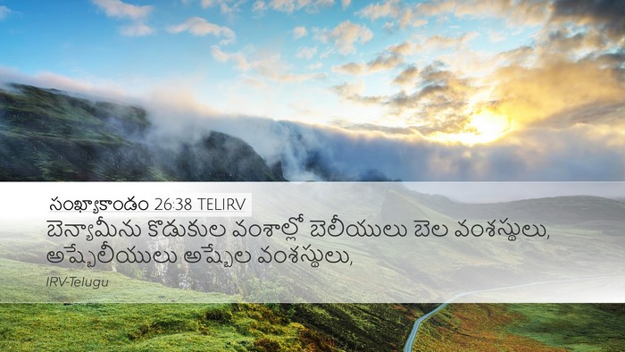 సంఖ్యాకాండం 26:38 TELIRV Bible Verse Image