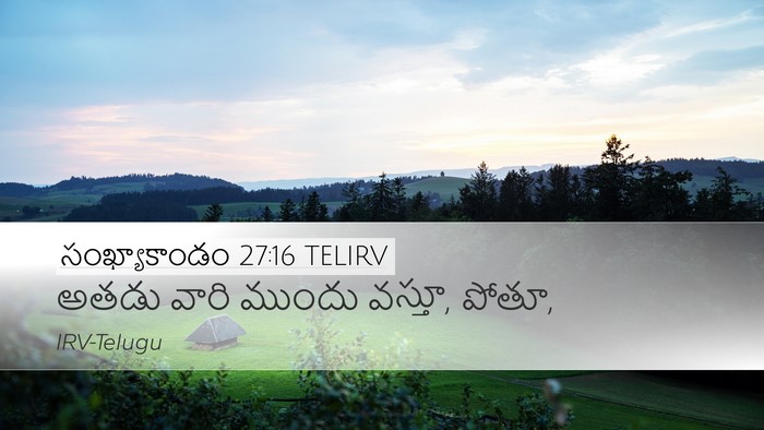 సంఖ్యాకాండం 27:16 TELIRV Desktop Wallpaper - అతడు వారి ముందు - Desktop Bible Verse Wallpaper