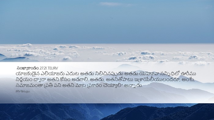 సంఖ్యాకాండం 27:21 TELIRV Bible Verse Image