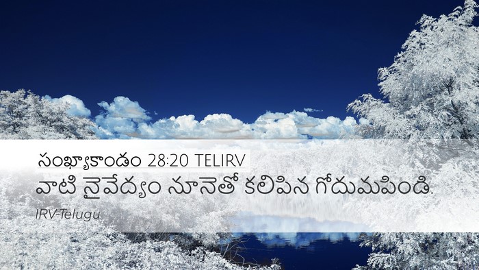 సంఖ్యాకాండం 28:20 TELIRV Desktop Wallpaper - వాటి నైవేద్యం - Desktop Bible Verse Wallpaper
