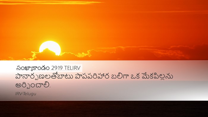 సంఖ్యాకాండం 29:19 TELIRV Bible Verse Image