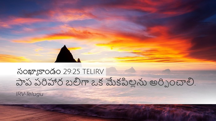 సంఖ్యాకాండం 29:25 TELIRV Bible Verse Image